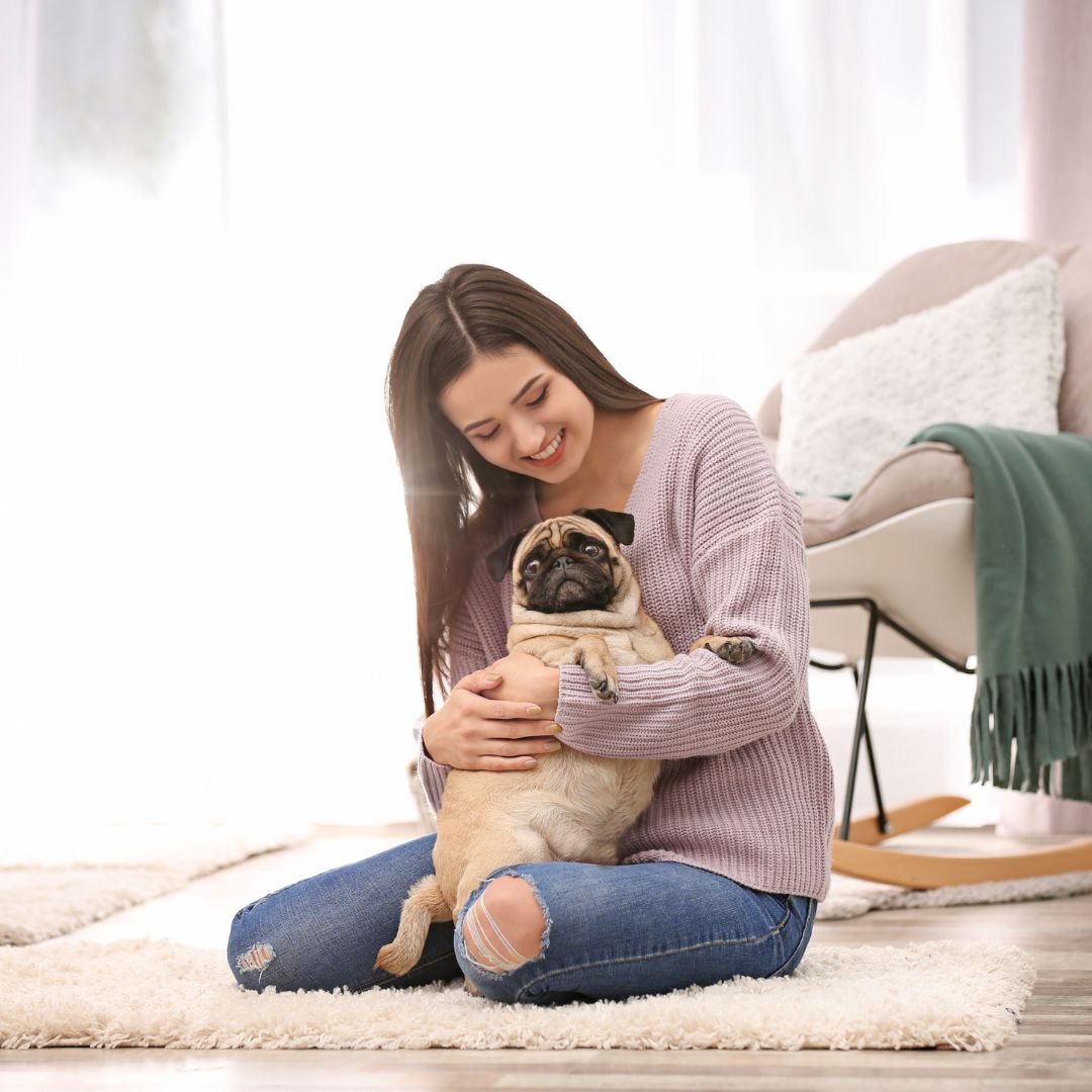 In-Home Pet Care
